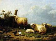 unknow artist Sheep 070 oil painting reproduction